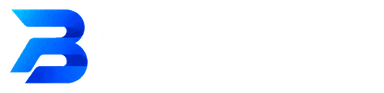 BIZSOFTWARE — Business Software Development & Solutions